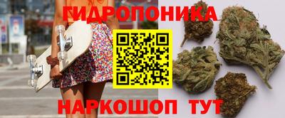 кокс Краснодар