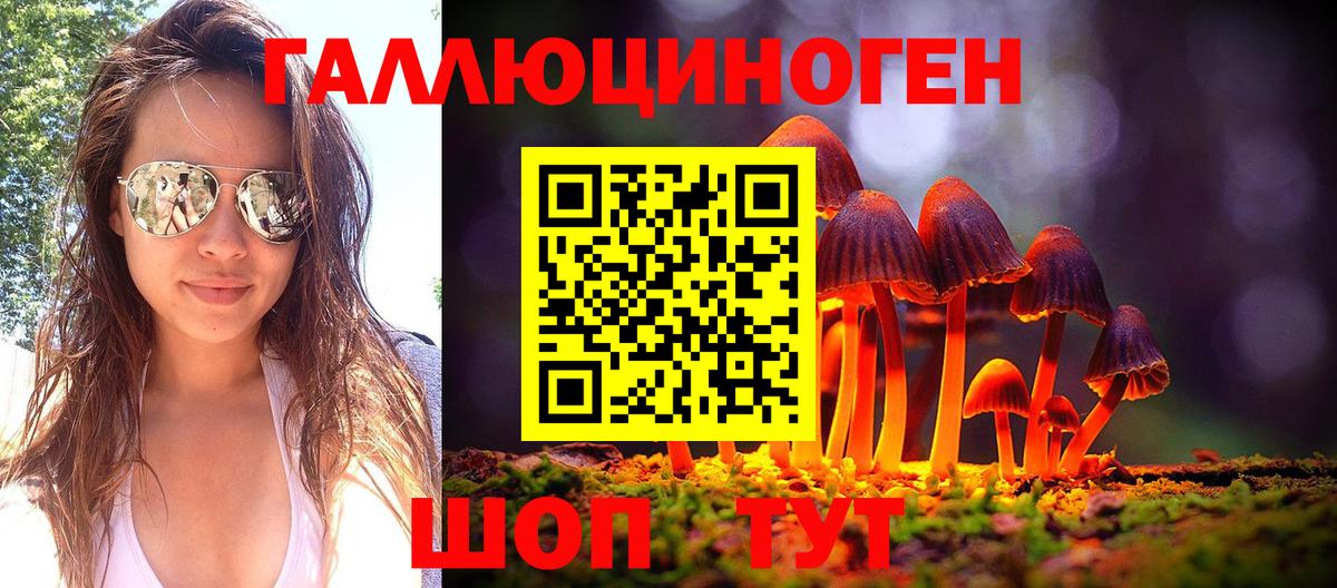 Карталы  Галлюциногенные грибы Cubensis  Вход с VPN 